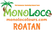 Monoloco Tours